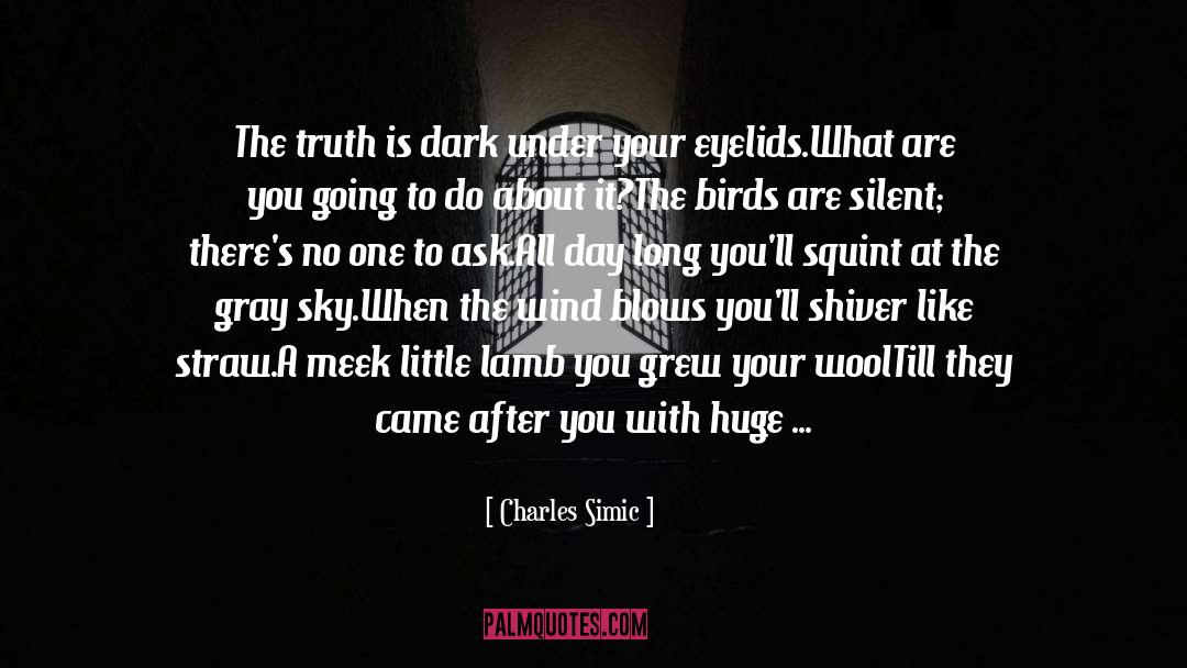 Crazier quotes by Charles Simic