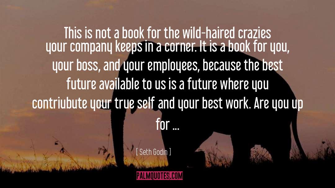 Crazies quotes by Seth Godin