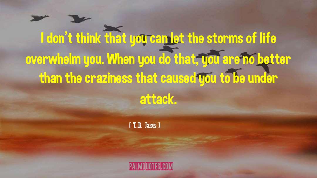 Craziness Of Life quotes by T.D. Jakes