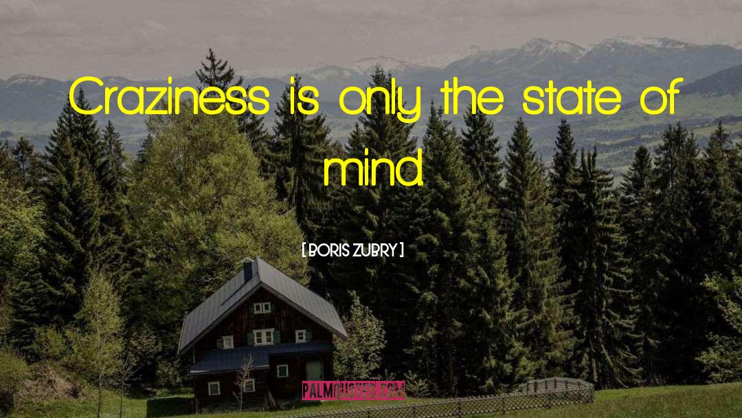 Craziness quotes by Boris Zubry