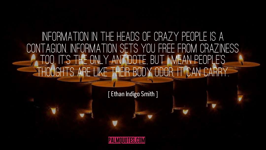 Craziness quotes by Ethan Indigo Smith