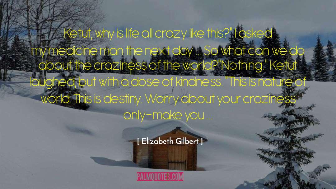 Craziness quotes by Elizabeth Gilbert