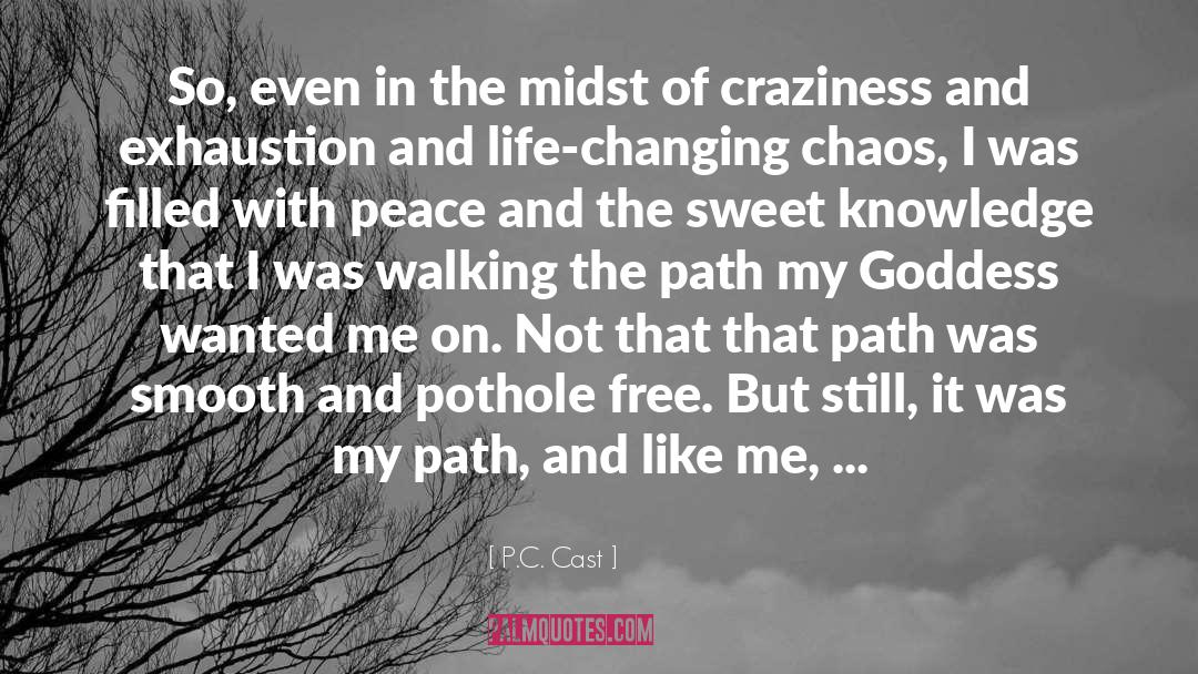 Craziness quotes by P.C. Cast