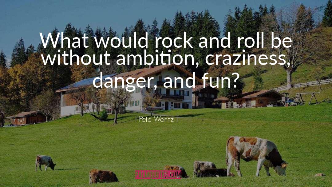 Craziness quotes by Pete Wentz