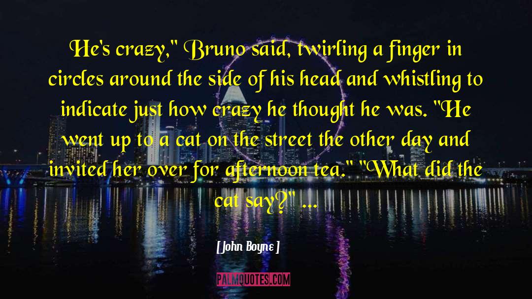 Crazy Cat Ladies quotes by John Boyne
