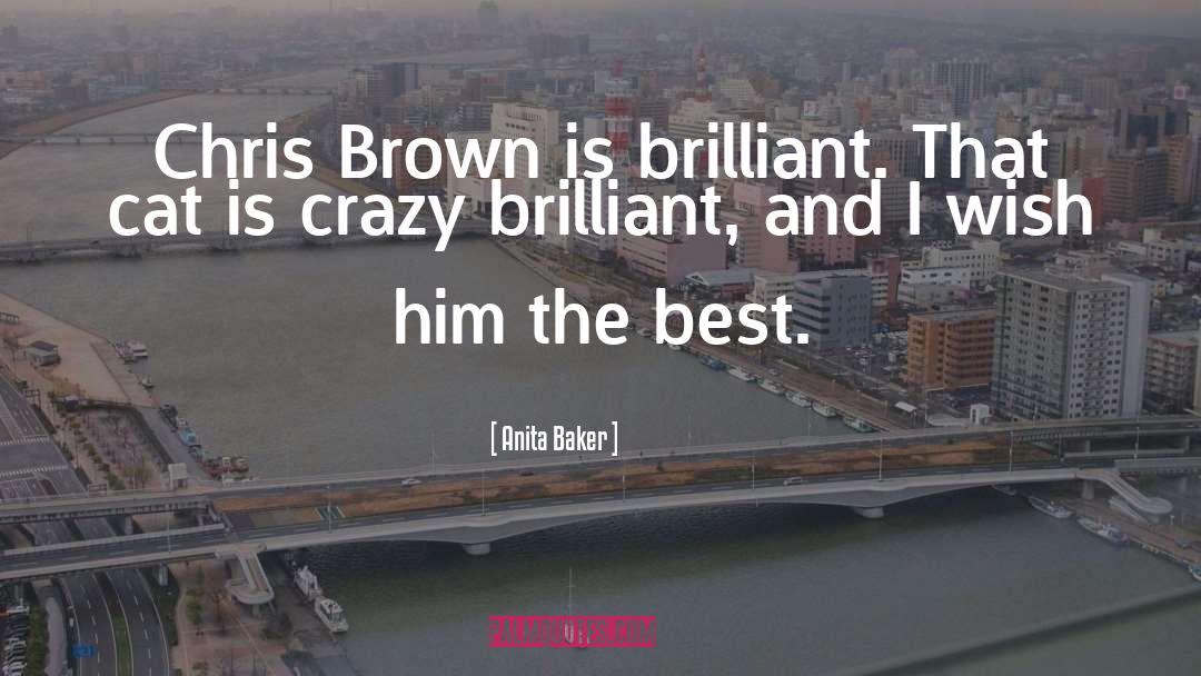 Crazy Cat Ladies quotes by Anita Baker