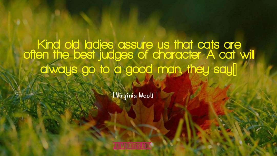 Crazy Cat Ladies quotes by Virginia Woolf