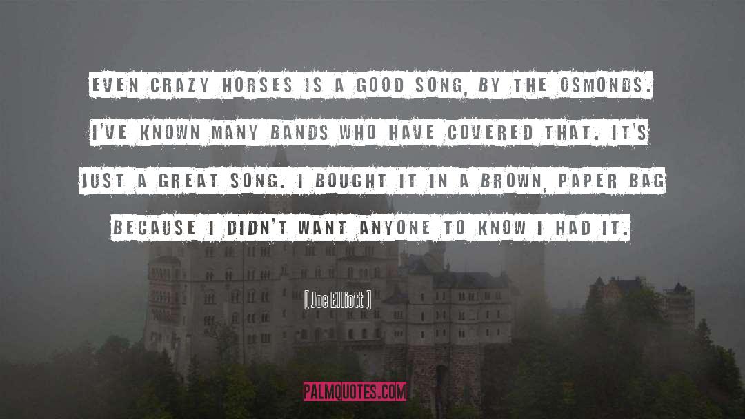 Crazy Horse quotes by Joe Elliott