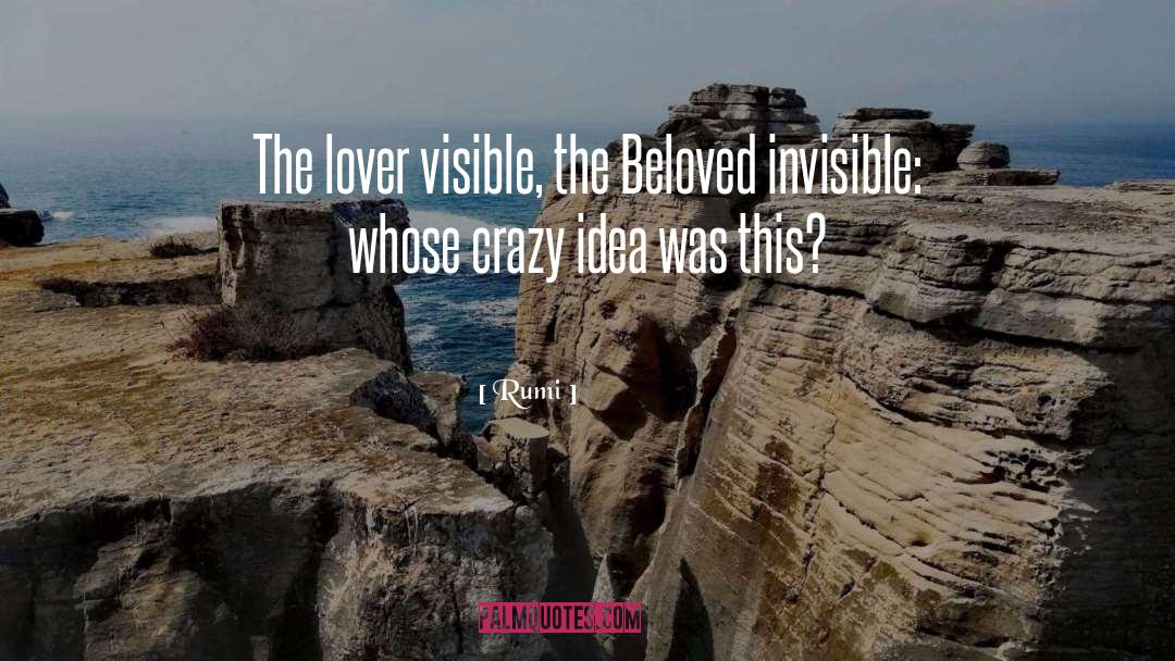 Crazy Idea quotes by Rumi