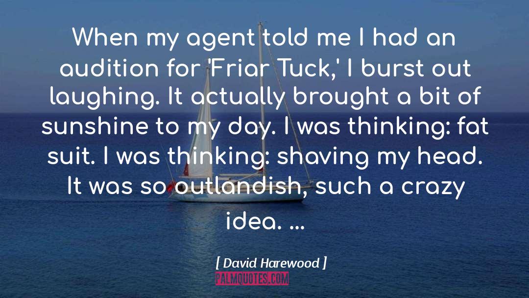 Crazy Idea quotes by David Harewood