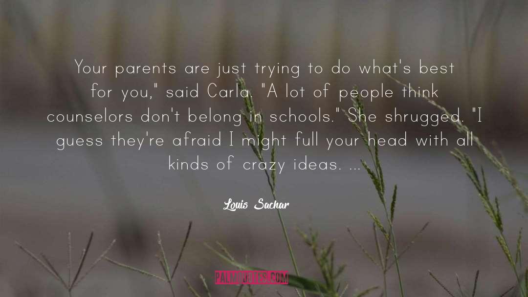 Crazy Ideas quotes by Louis Sachar