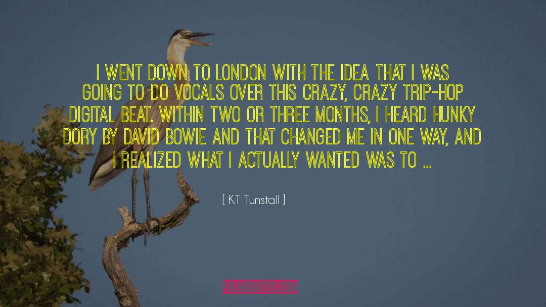 Crazy Ideas quotes by KT Tunstall
