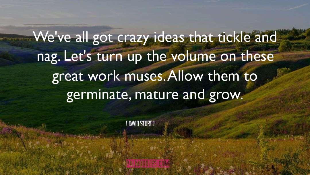 Crazy Ideas quotes by David Sturt