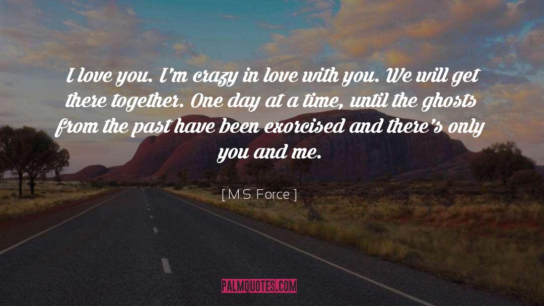 Crazy In Love quotes by M.S. Force