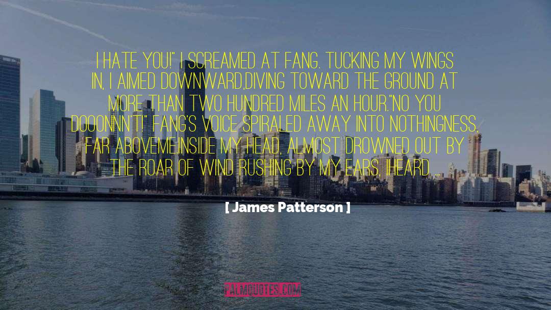 Crazy In Love quotes by James Patterson