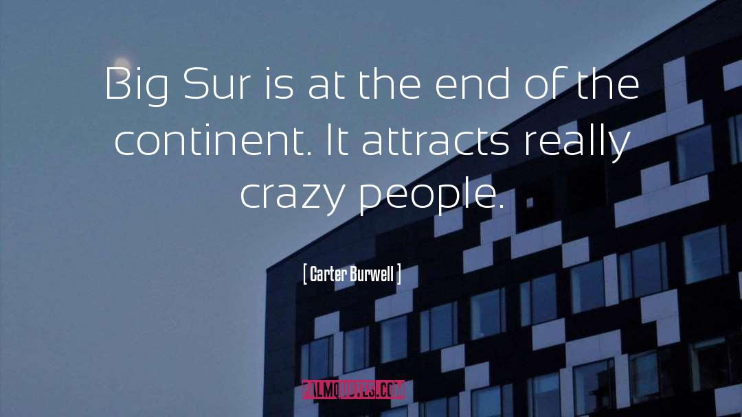 Crazy People quotes by Carter Burwell