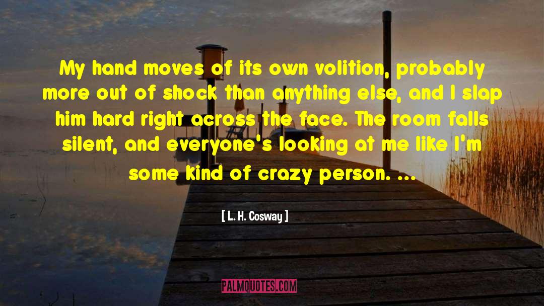 Crazy Person quotes by L. H. Cosway