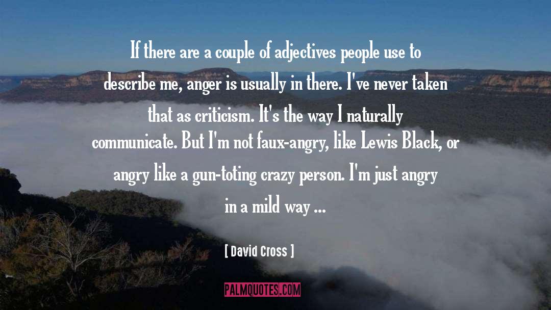 Crazy Person quotes by David Cross