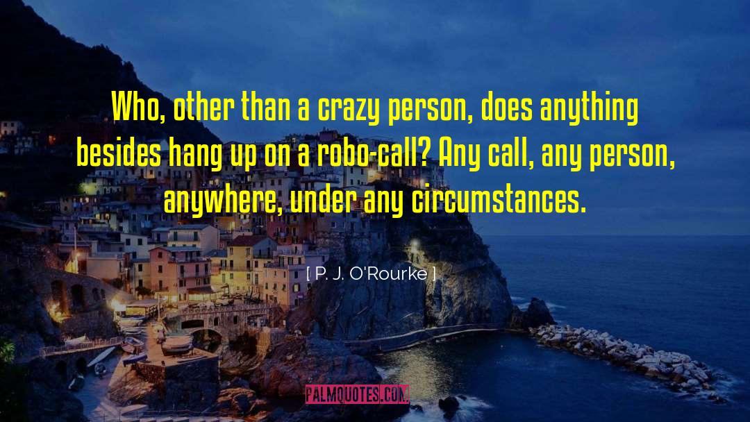 Crazy Person quotes by P. J. O'Rourke