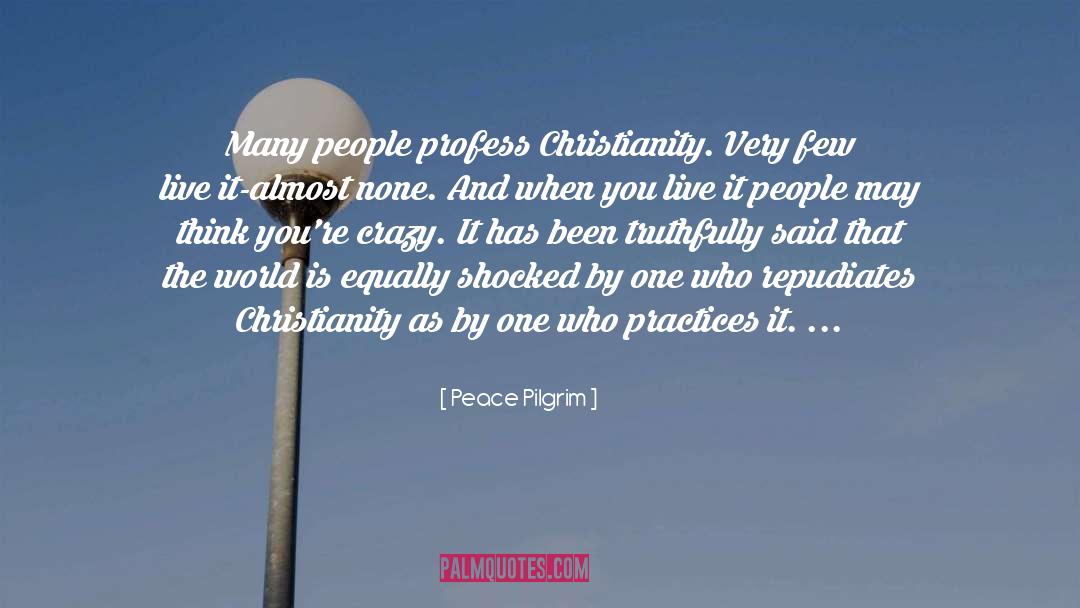 Crazy Ppl quotes by Peace Pilgrim