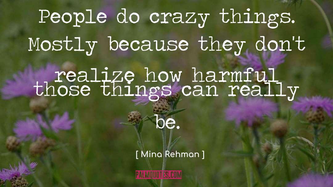 Crazy Things quotes by Mina Rehman
