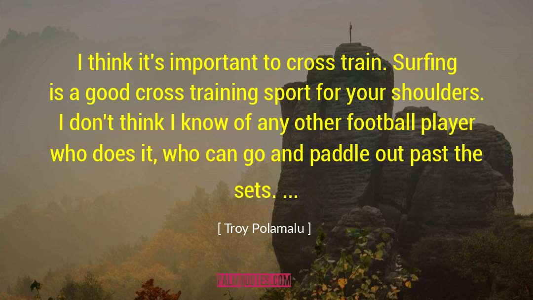 Crazy Train quotes by Troy Polamalu
