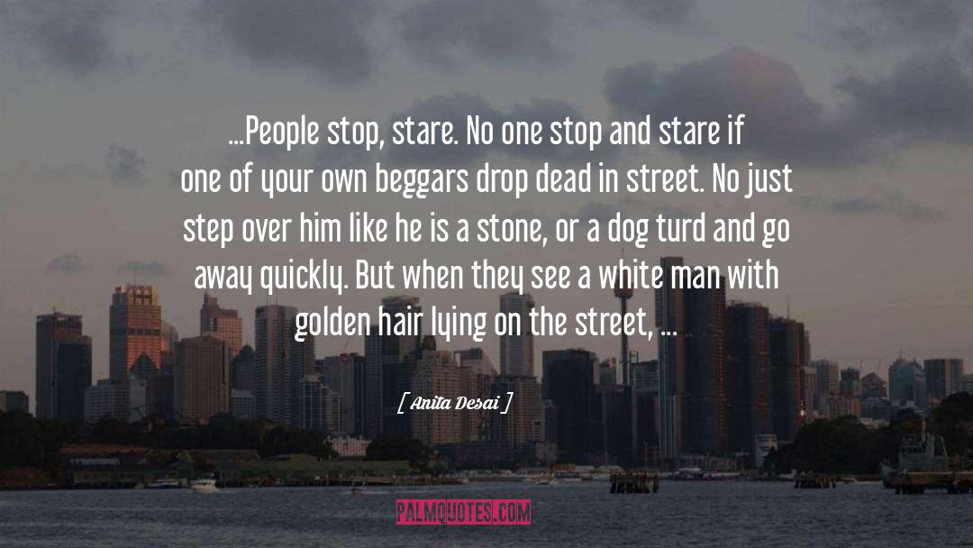 Crazy White Boy quotes by Anita Desai