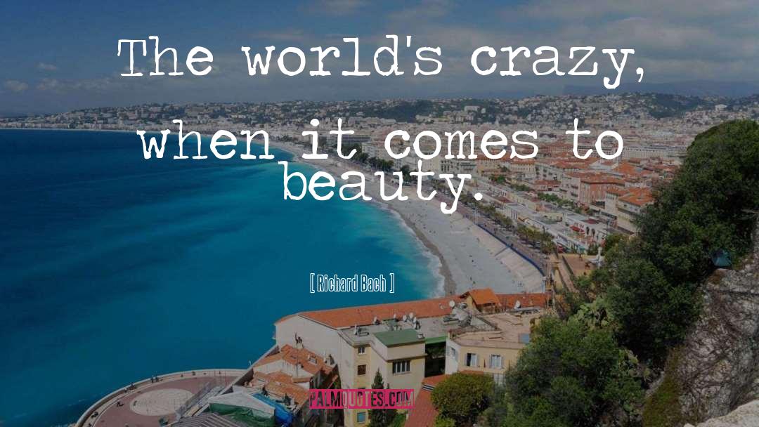 Crazy World quotes by Richard Bach