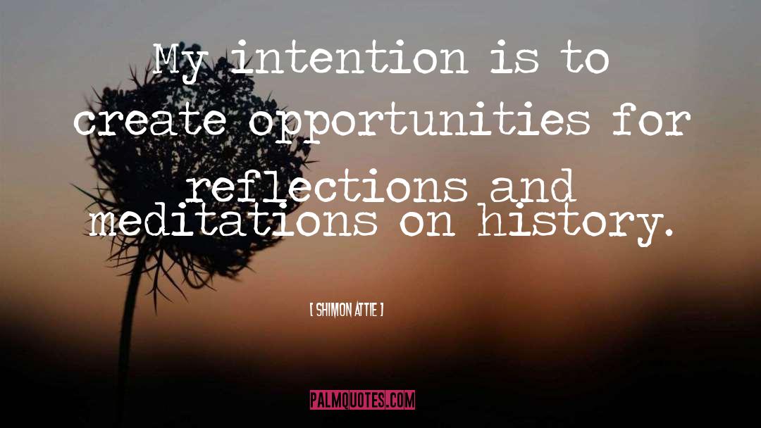 Create Opportunities quotes by Shimon Attie