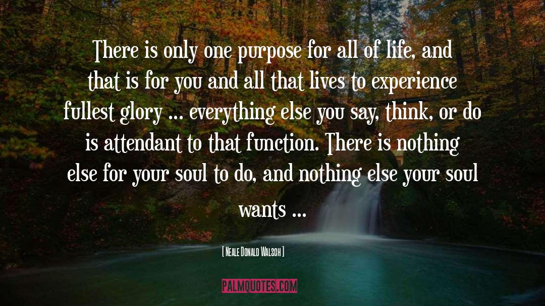 Create Your Life quotes by Neale Donald Walsch
