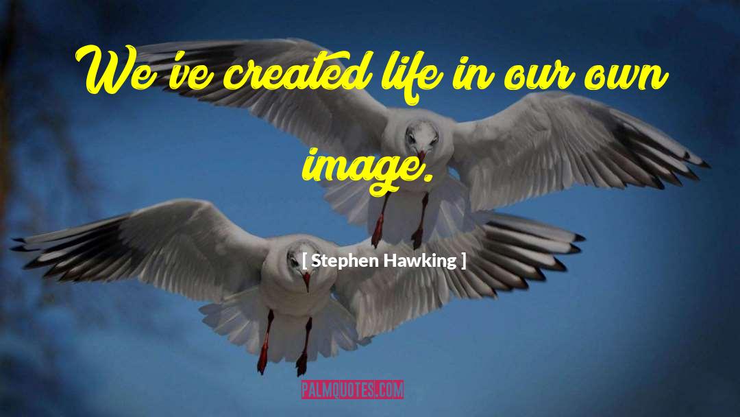 Created In Gods Image Quote quotes by Stephen Hawking