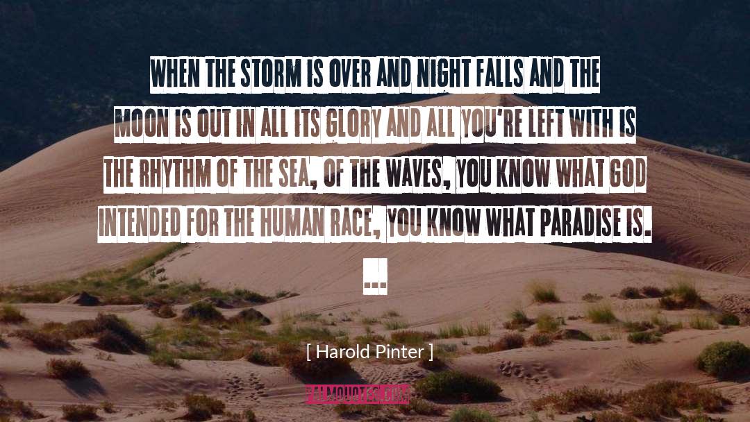 Creating Paradise quotes by Harold Pinter