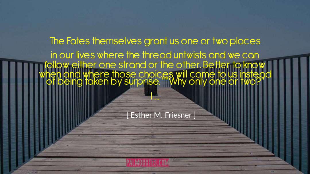 Creating The Future quotes by Esther M. Friesner