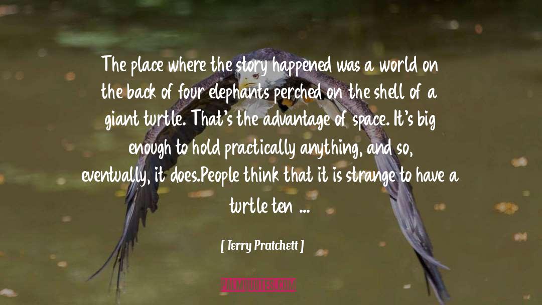 Creation Myth quotes by Terry Pratchett