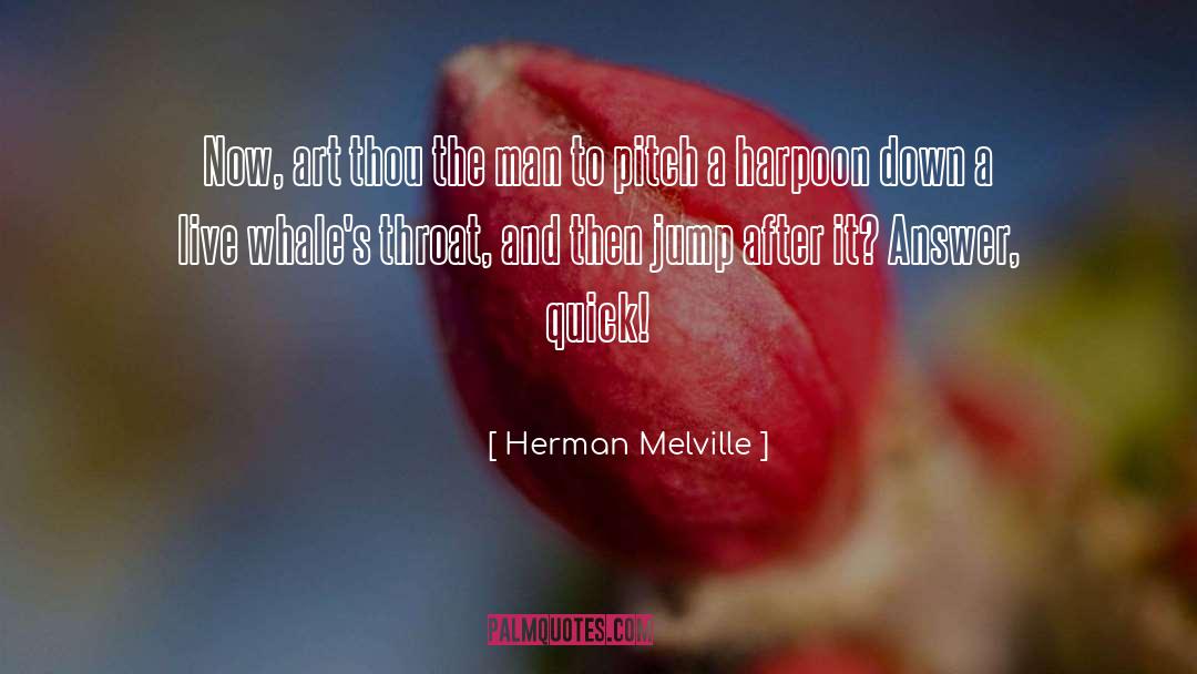 Creative Art quotes by Herman Melville