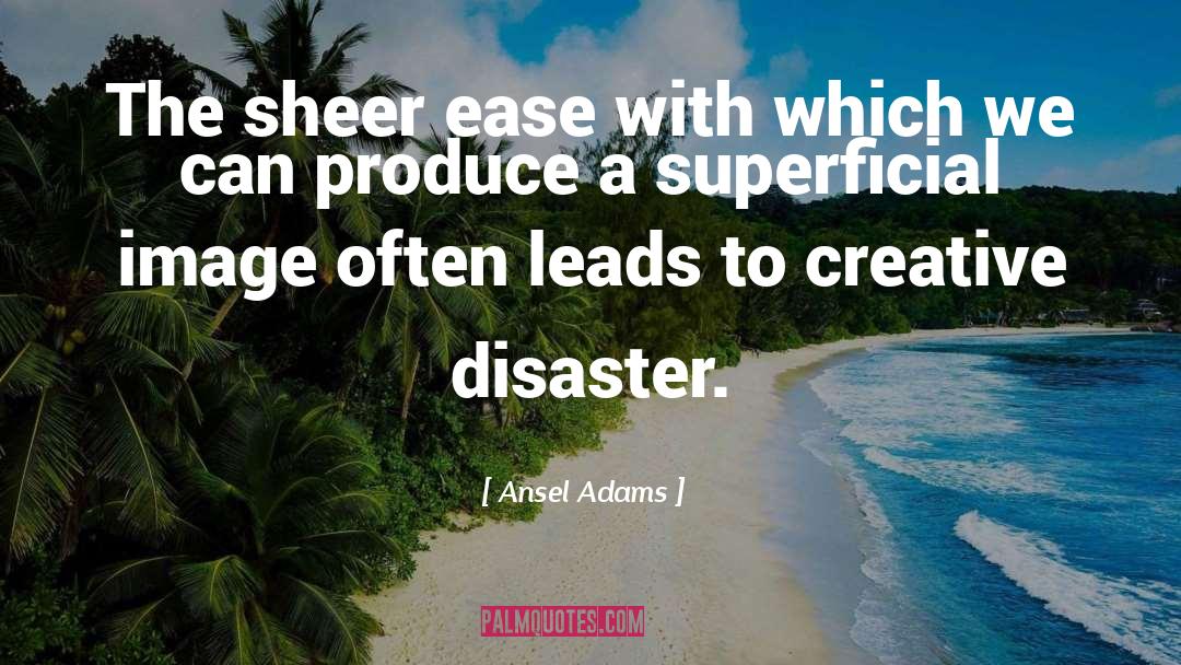 Creative Blocks quotes by Ansel Adams