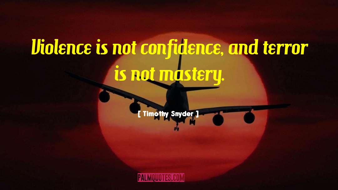 Creative Confidence quotes by Timothy Snyder