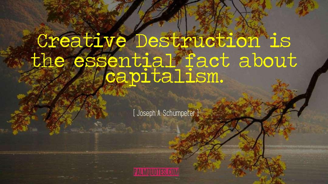 Creative Destruction quotes by Joseph A. Schumpeter