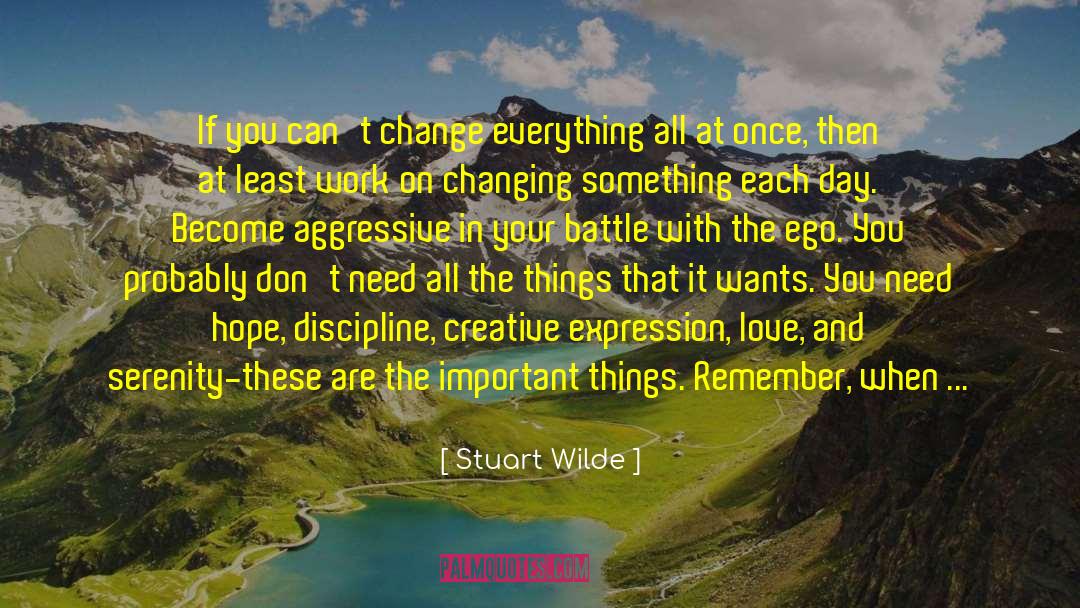 Creative Expression quotes by Stuart Wilde