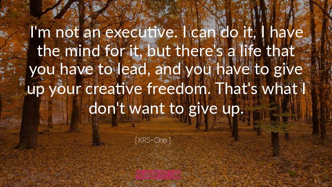 Creative Freedom quotes by KRS-One