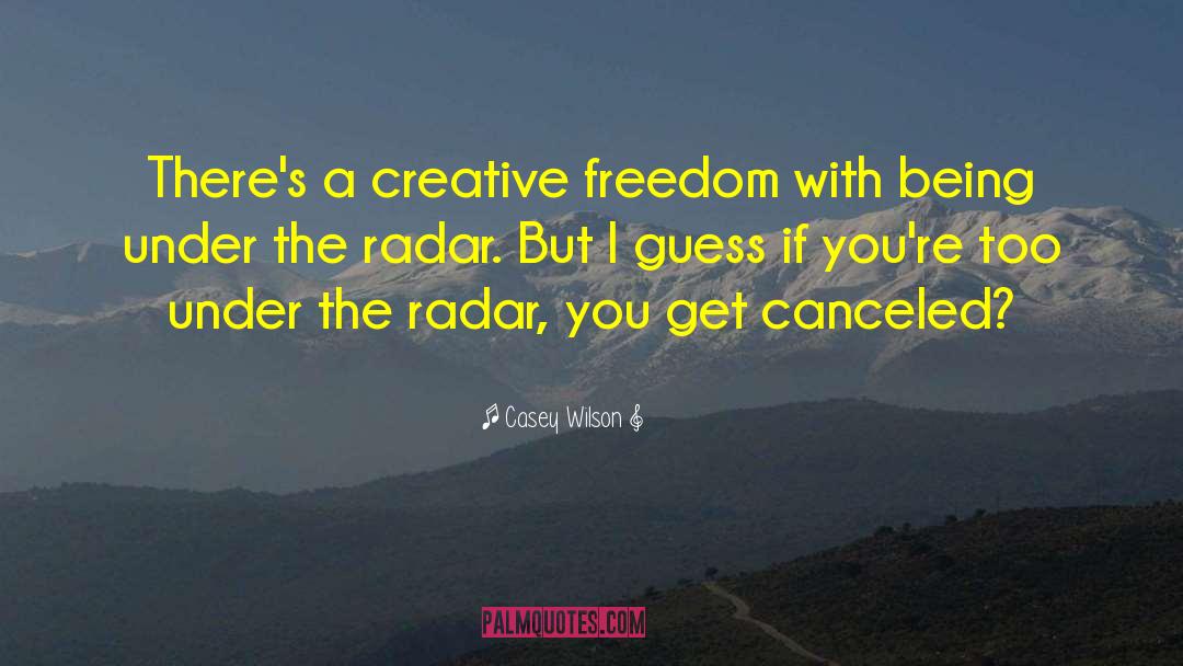 Creative Freedom quotes by Casey Wilson