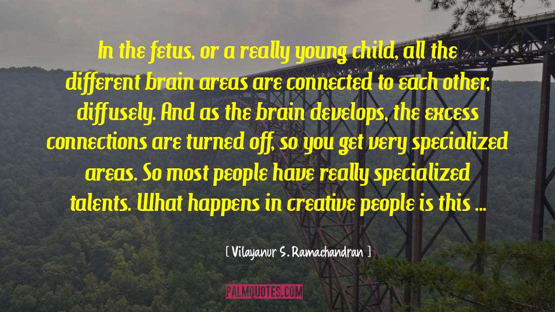 Creative Instincts quotes by Vilayanur S. Ramachandran