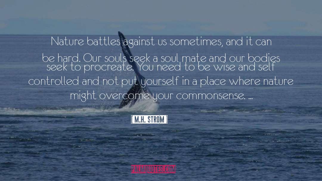 Creative Soul quotes by M.H. Strom