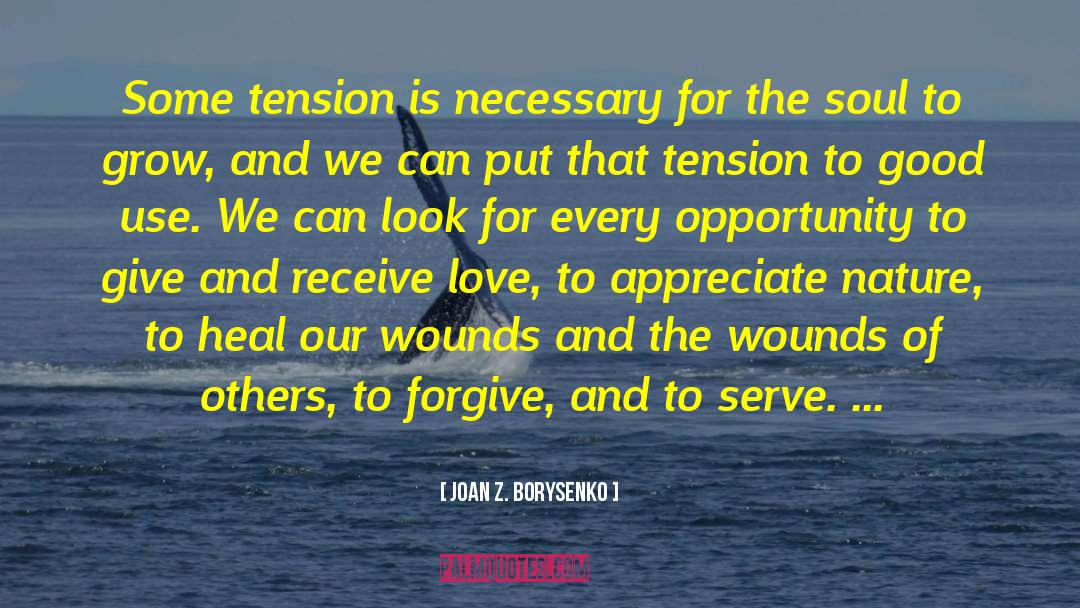 Creative Tension quotes by Joan Z. Borysenko