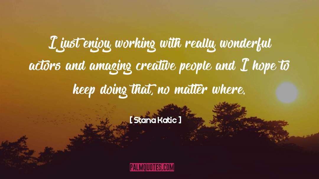 Creative Tension quotes by Stana Katic