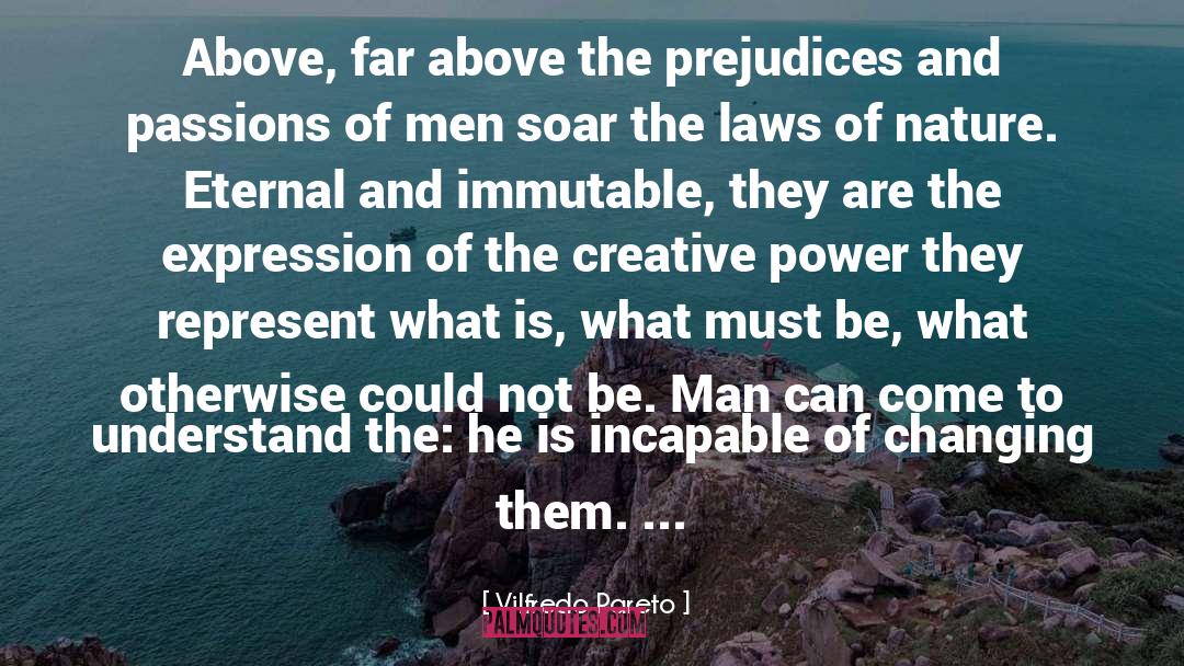 Creative Writers quotes by Vilfredo Pareto