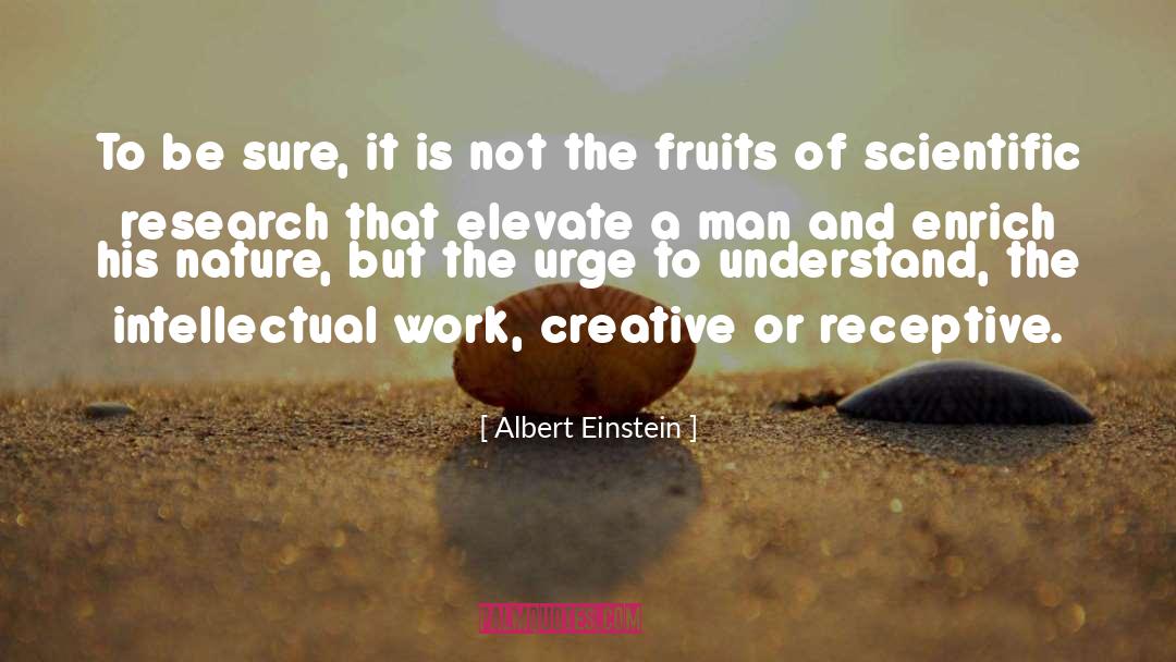 Creativity Work quotes by Albert Einstein