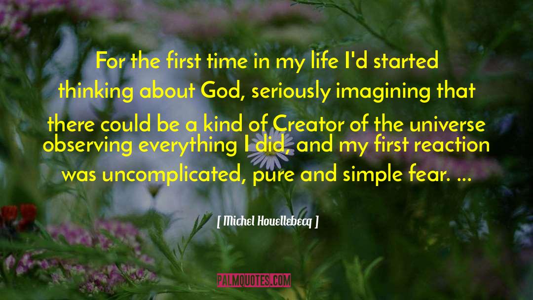 Creator Of The Universe quotes by Michel Houellebecq