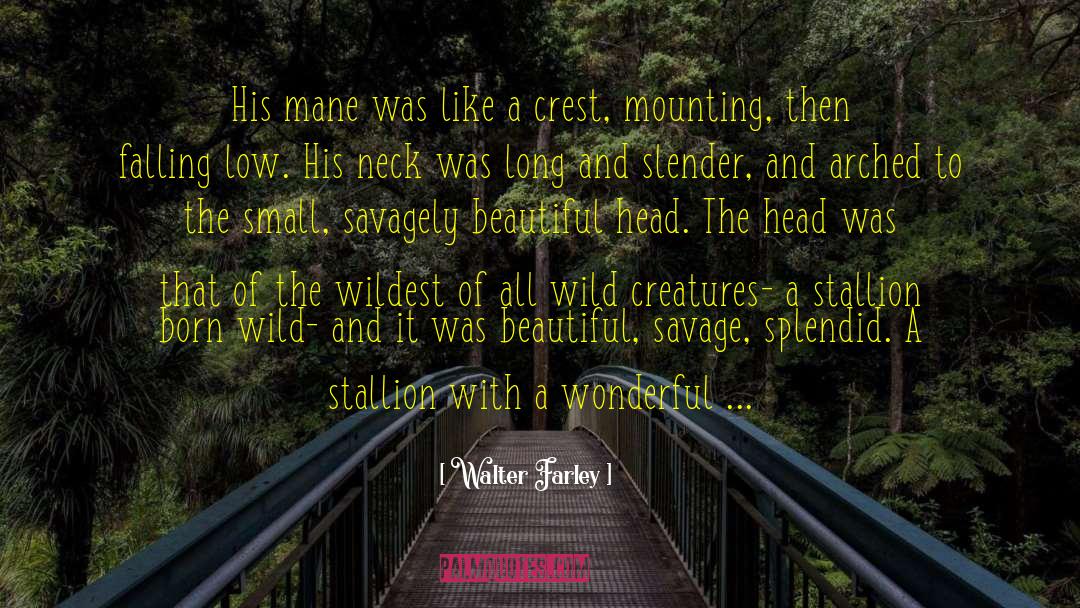 Creatures Of The Night quotes by Walter Farley