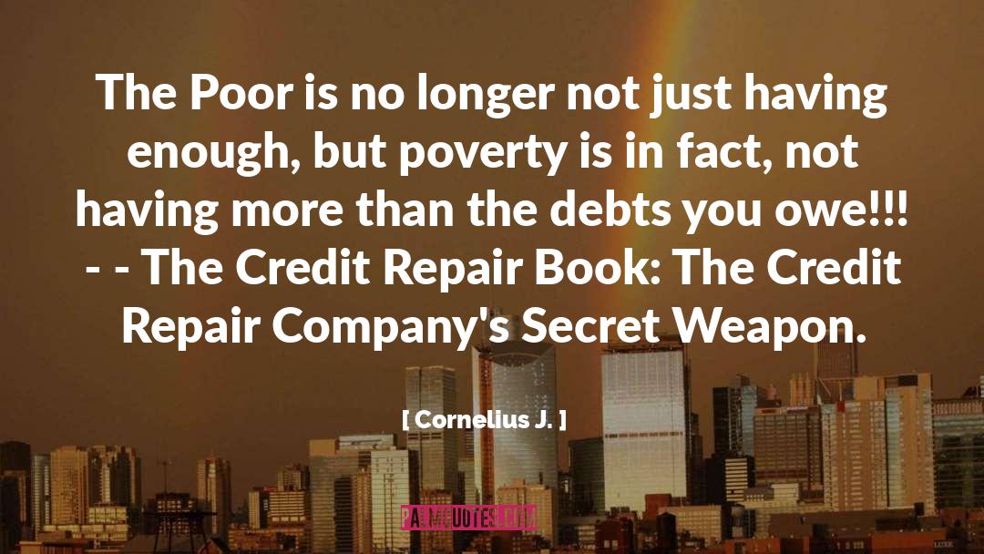 Credit Bureau quotes by Cornelius J.